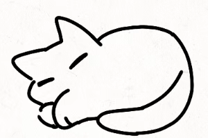 Cat is sleeping.